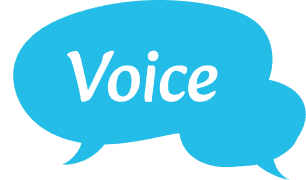voice