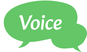 voice